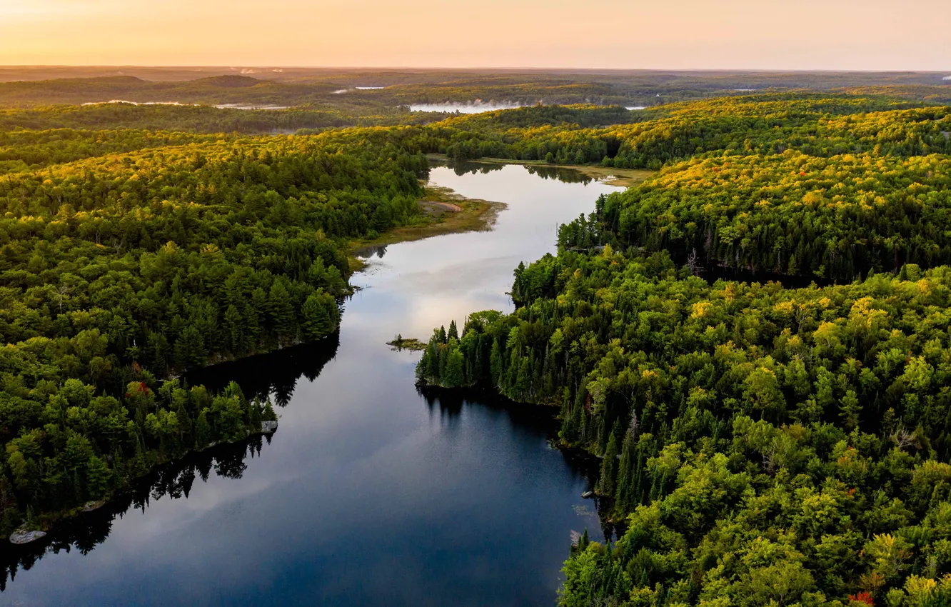 Photo wallpaper forest, river, shore, pond