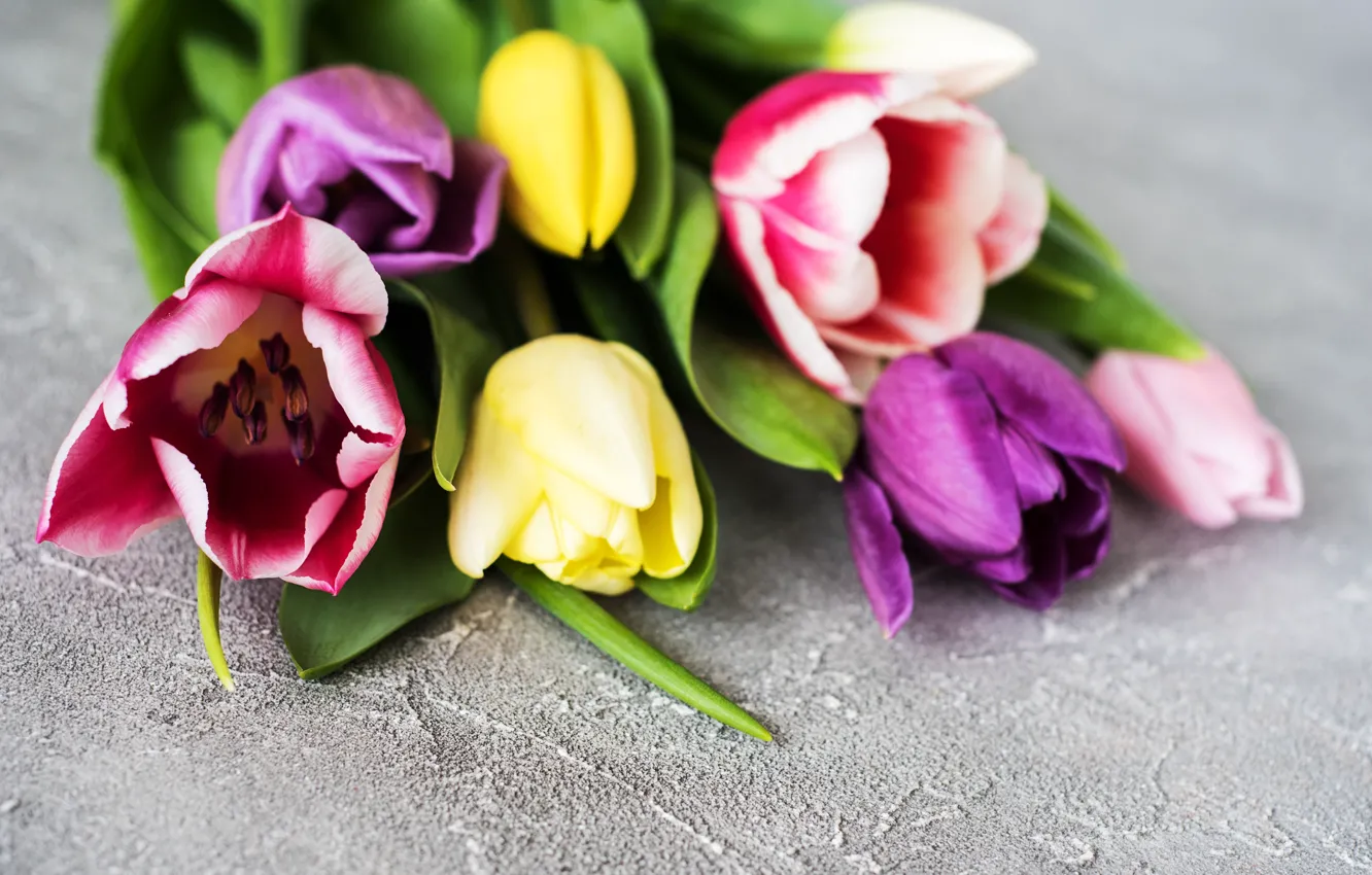 Photo wallpaper flowers, bouquet, colorful, tulips, wood, flowers, tulips, spring