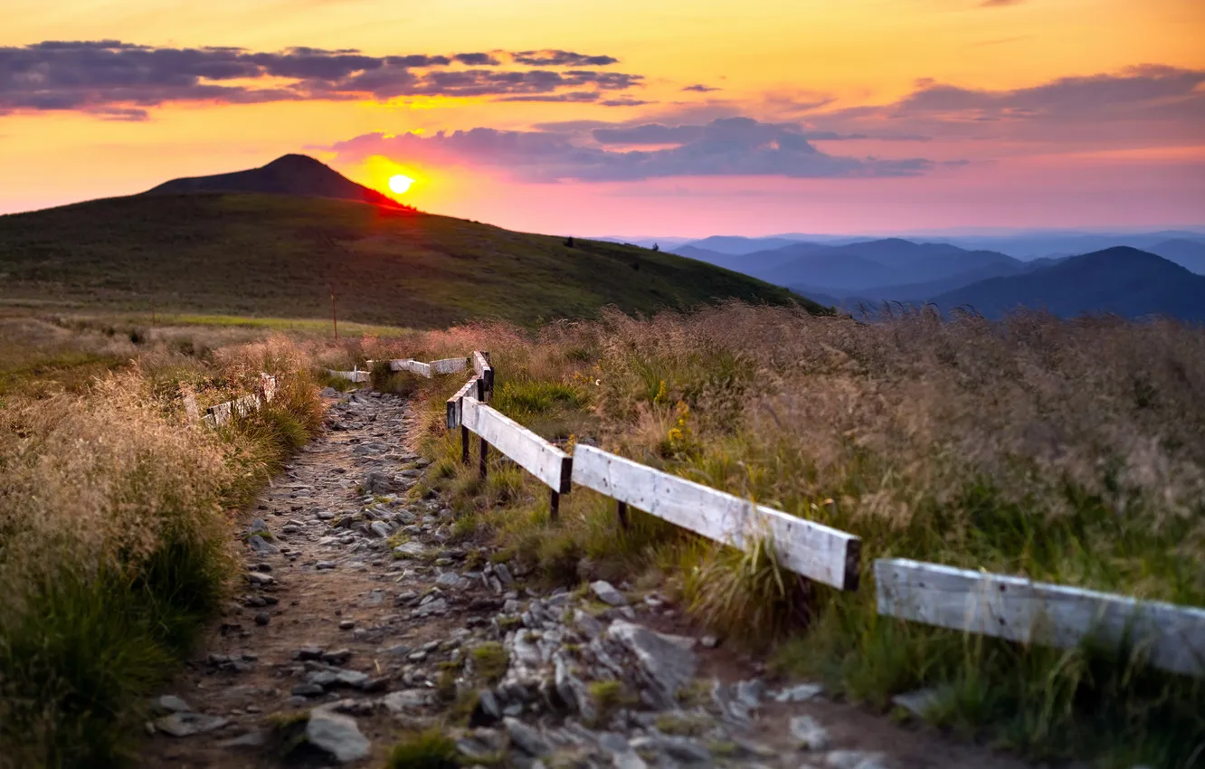 Photo wallpaper sunset, beauty, horizon, space, sunset, wildlife, sunlight, sunlight