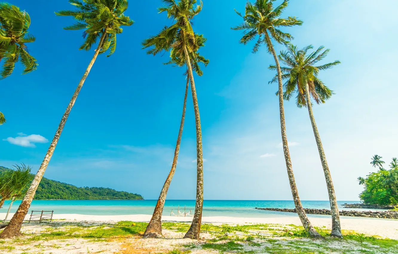 Photo wallpaper sand, sea, wave, beach, summer, the sky, palm trees, shore