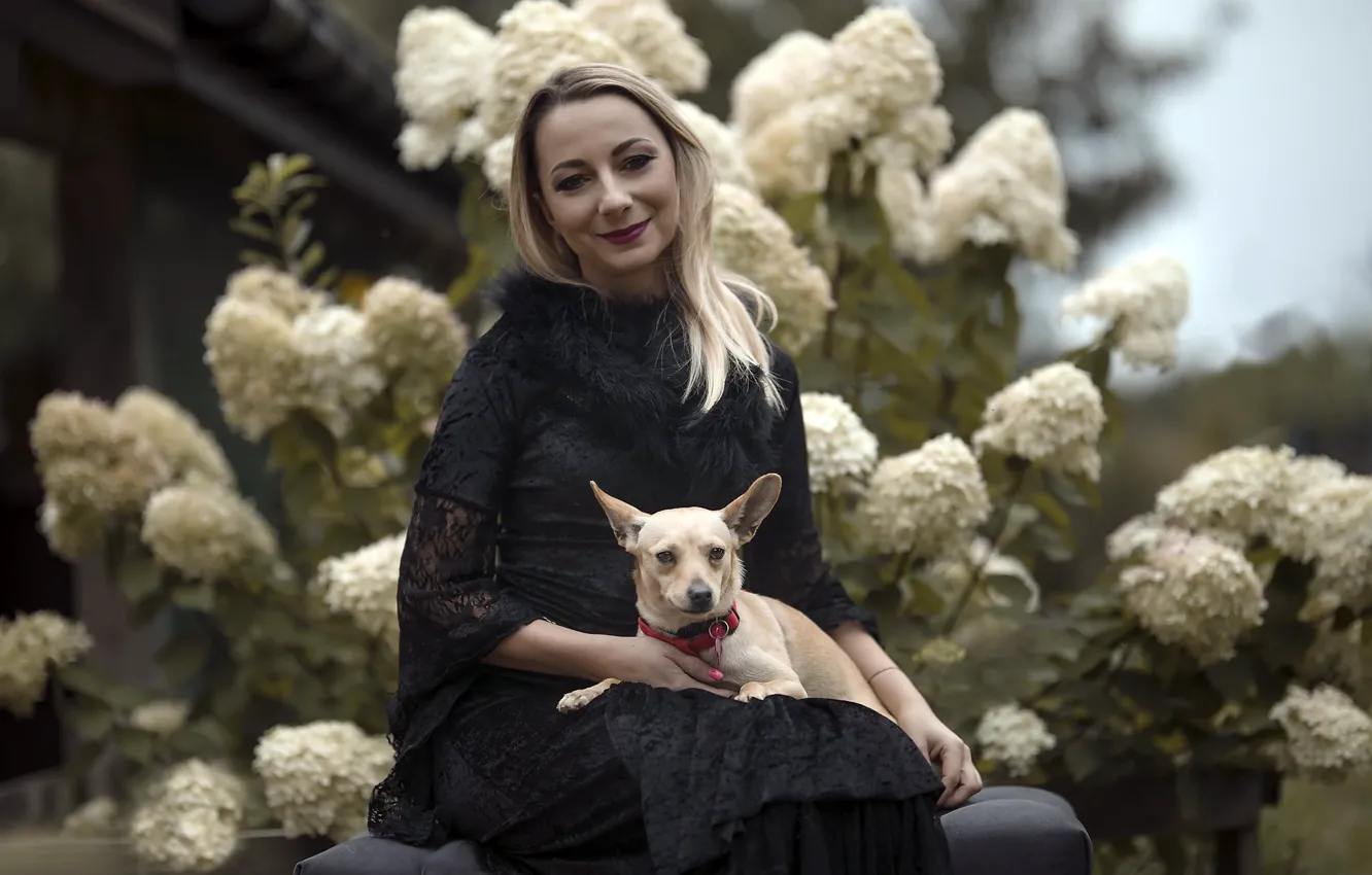 Photo wallpaper girl, nature, dog