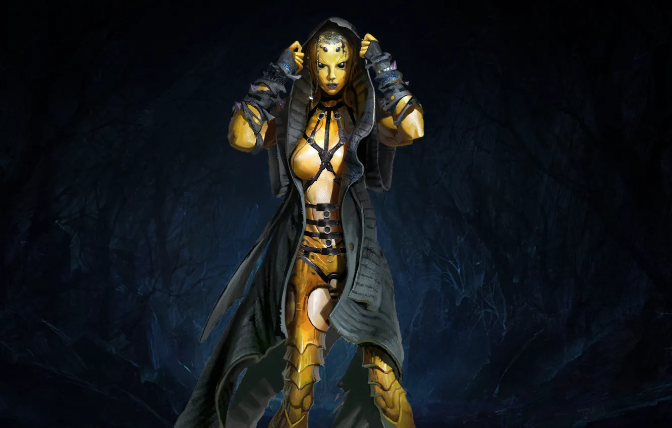 Photo wallpaper The game, Forest, Fighter, Mortal Kombat, Character, D Thief, Chitin, Swarm Queen