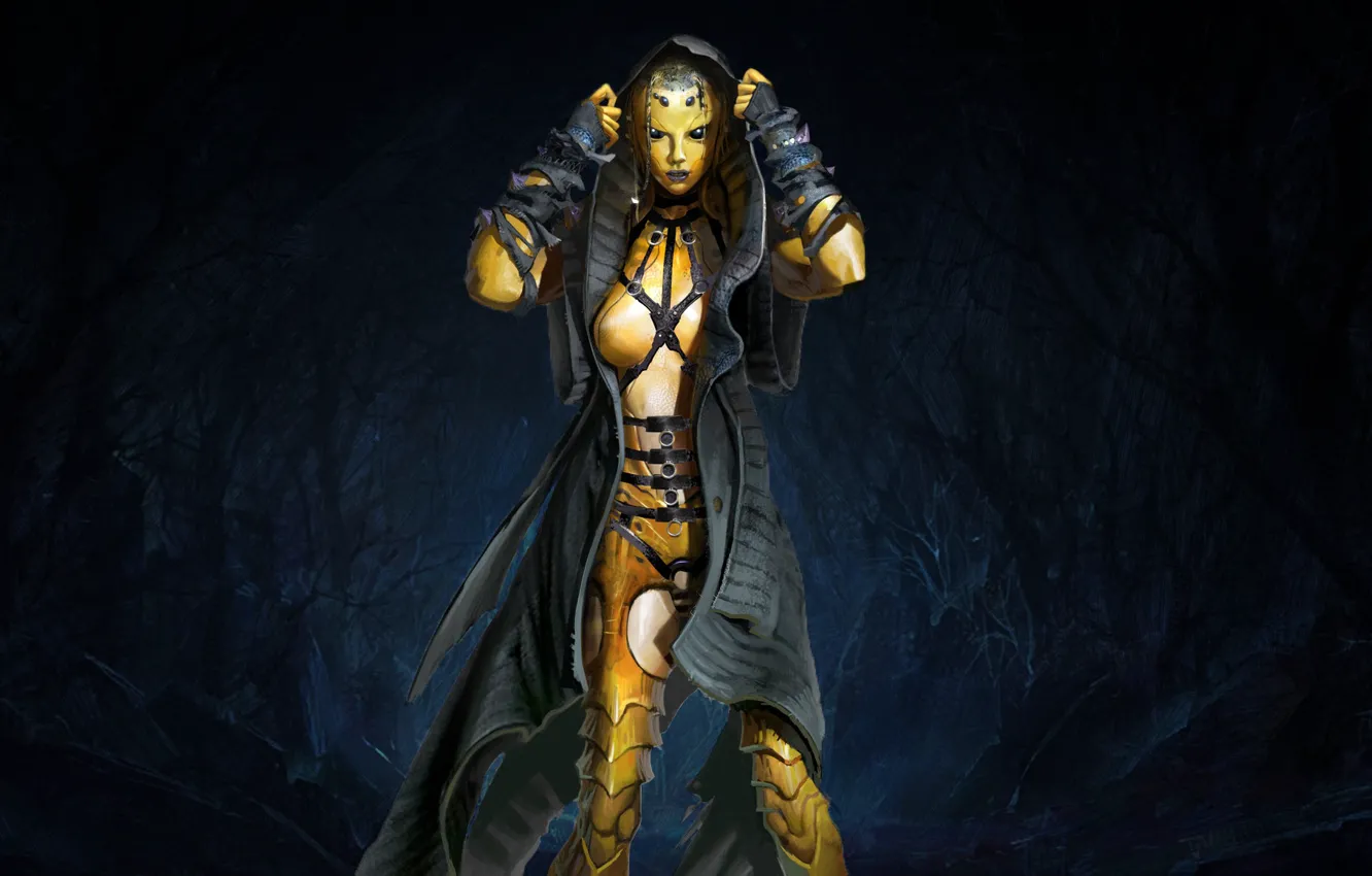 Photo wallpaper forest, the game, fighter, characters, Mortal Kombat, D Thief, Chitin, Swarm Queen