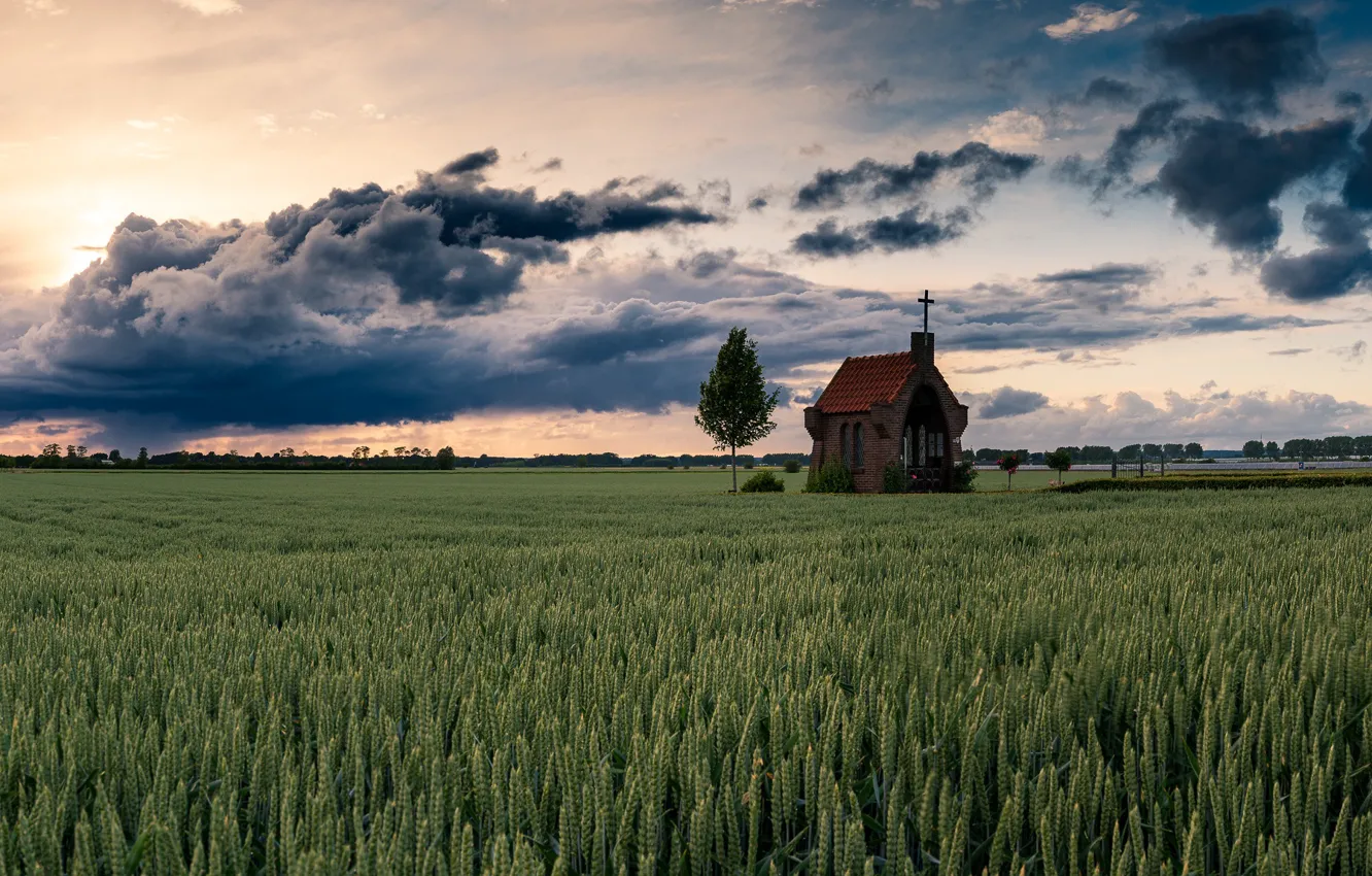 Photo wallpaper sunset, goldenhour, The chapel on the Hill