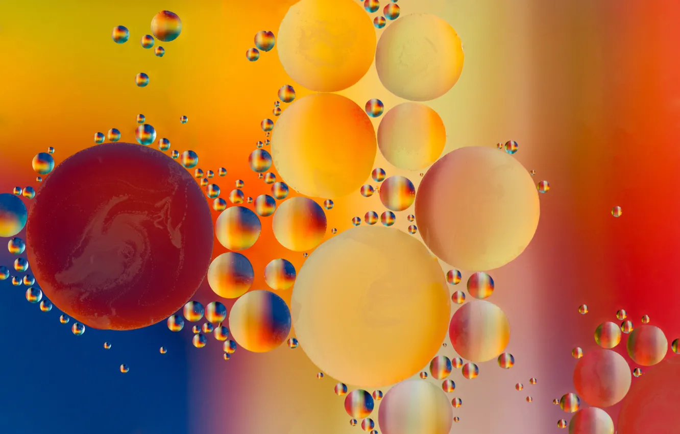Photo wallpaper bubbles, oil, liquid