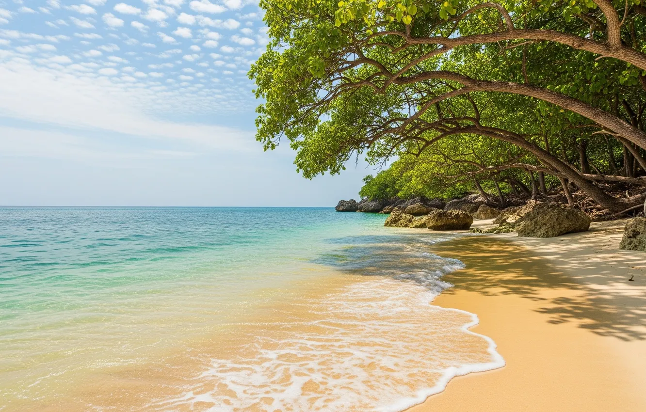 Photo wallpaper the sky, clouds, trees, tropics, the ocean, Wallpaper, shore, wallpaper