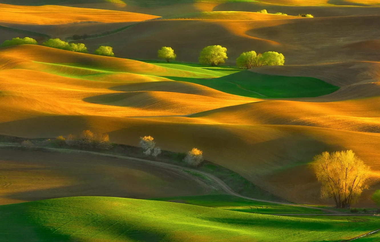 Photo wallpaper road, field, autumn, light, trees, orange, green, hills