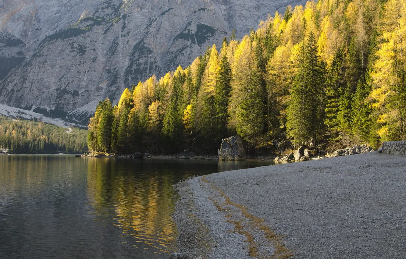 Photo wallpaper autumn, trees, mountains, nature, river