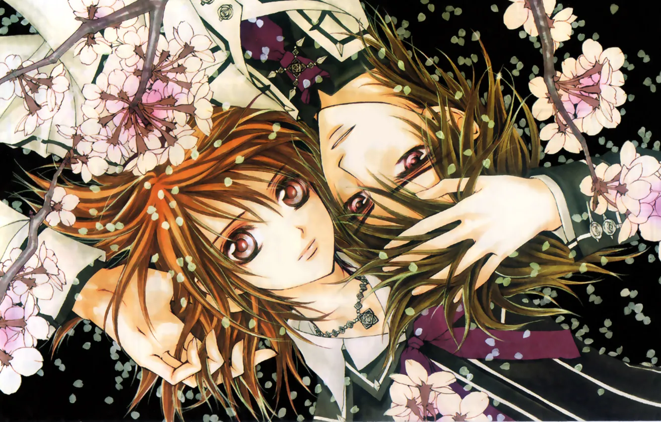 Photo wallpaper look, girl, flowers, smile, hair, petals, Sakura, vampire, form, guy, vampires, students, touch, Knight-vampire, Vampire-Knight, …
