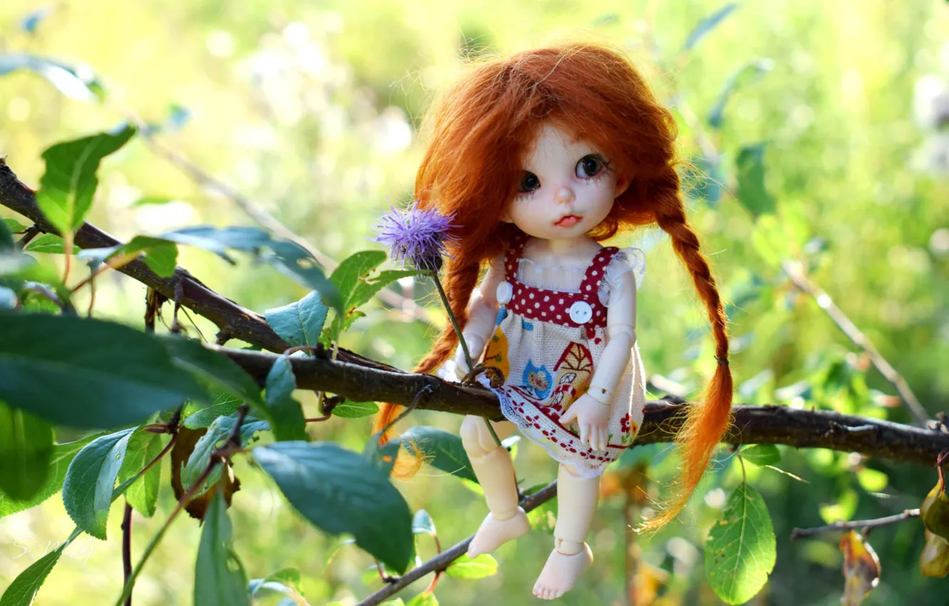 Photo wallpaper branches, doll, girl, braid, red
