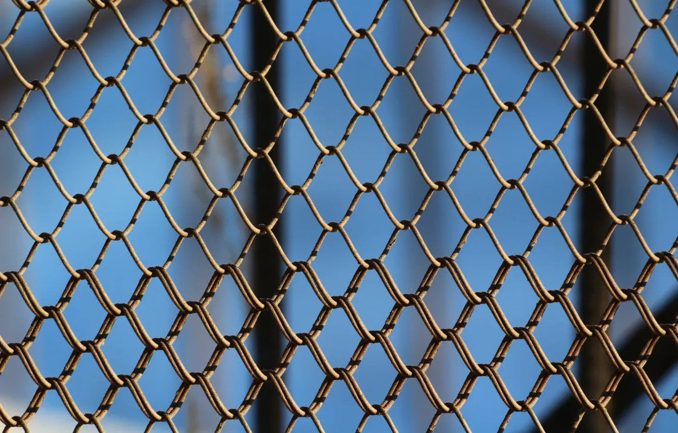 Photo wallpaper mesh, the fence, netting, iron