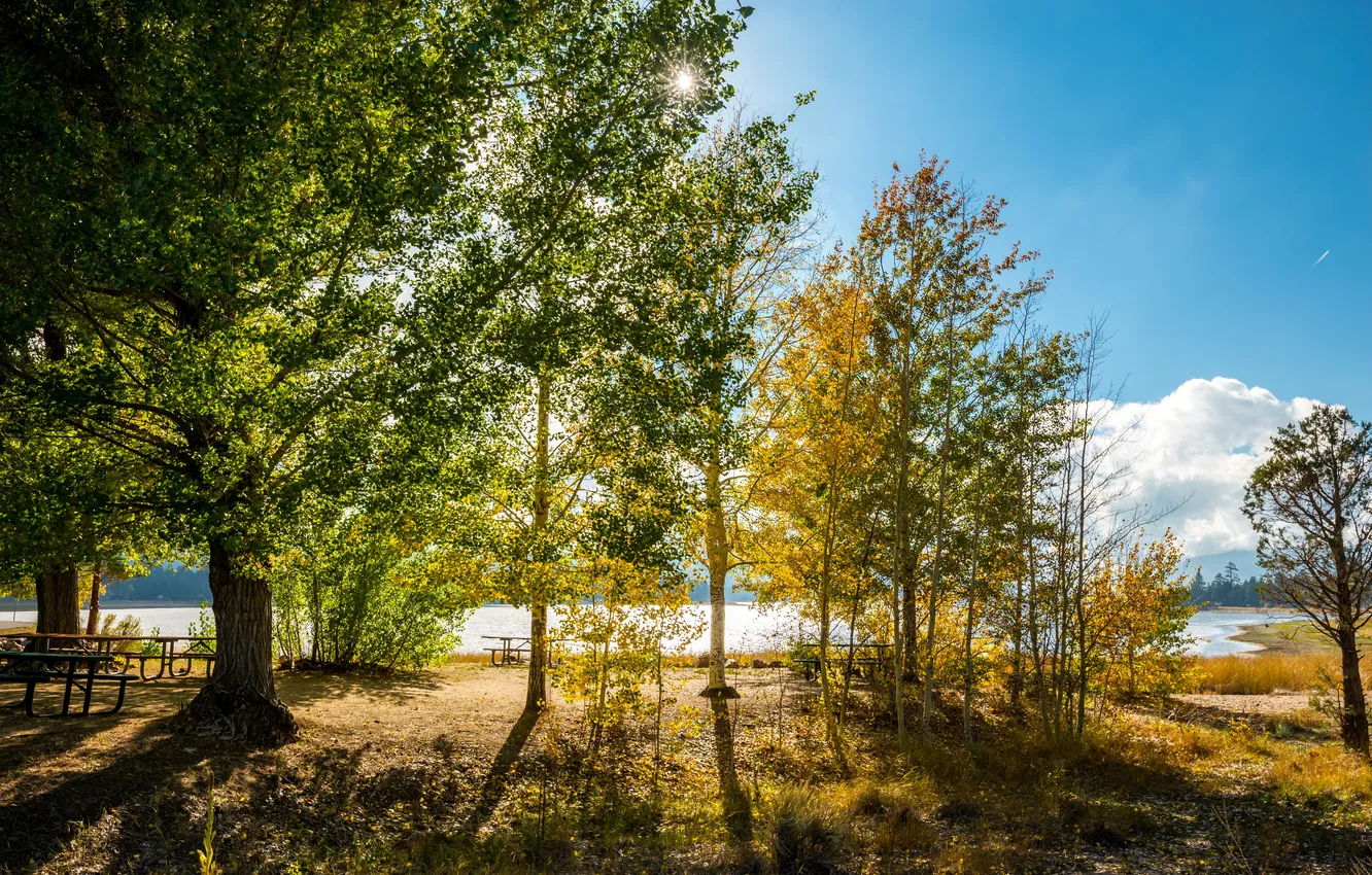 Photo wallpaper autumn, trees, landscape, lake, Park, table, bench