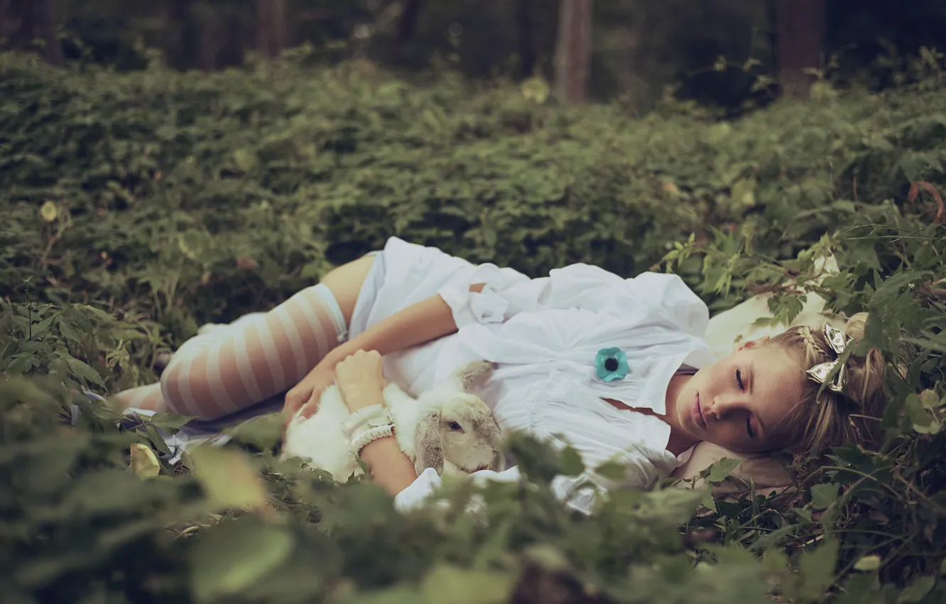 Photo wallpaper forest, grass, girl, sleep, stockings, rabbit, blonde, in white
