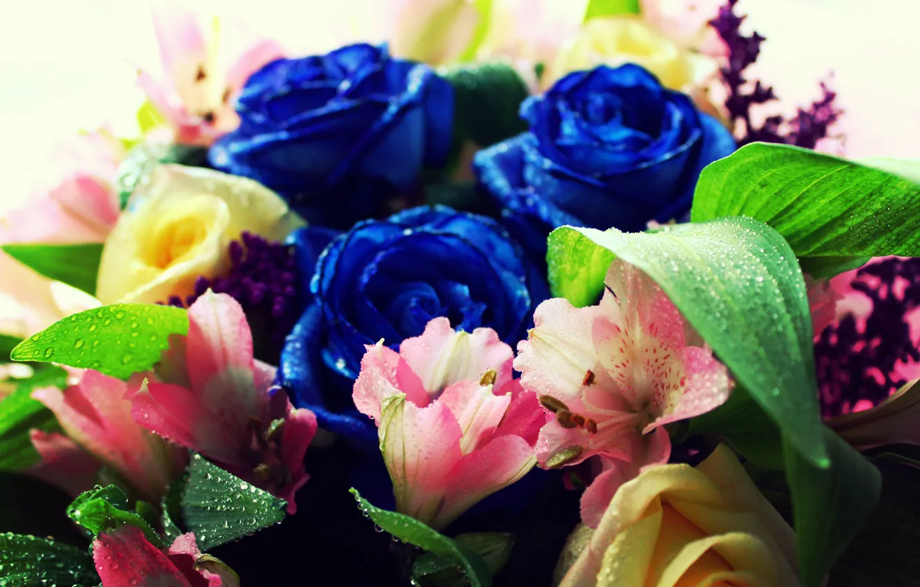 Photo wallpaper bouquet, composition, blue roses