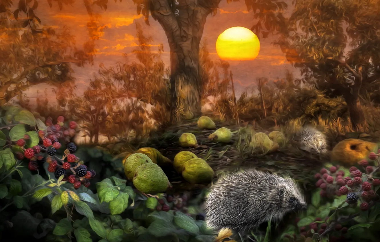 Photo wallpaper forest, leaves, the sun, trees, hedgehog, pear, BlackBerry