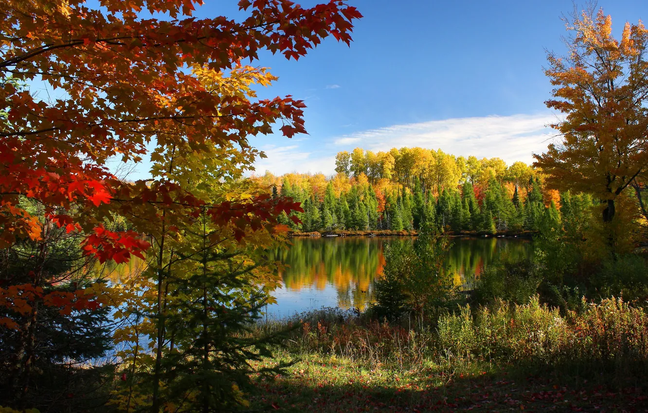 Photo wallpaper autumn, forest, the sky, lake, photo