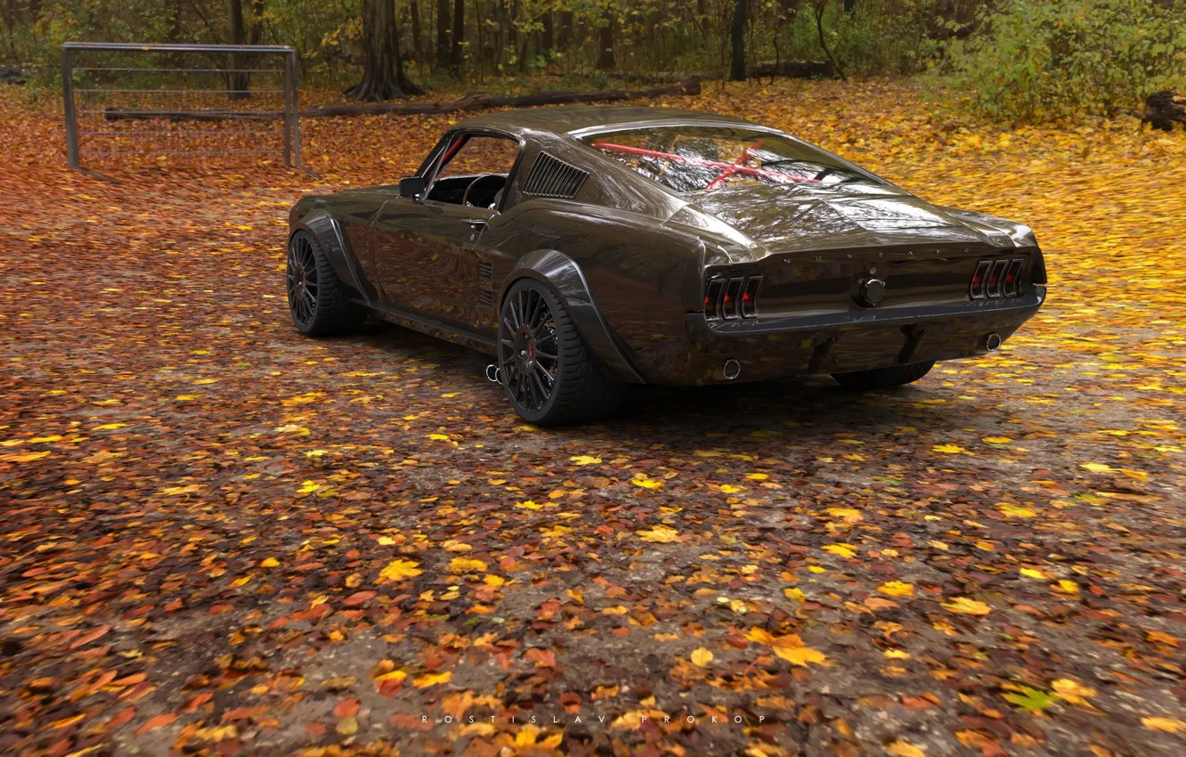 Photo wallpaper muscle car, USA, iconic Pony Car class car, Ford Mustang, Rostislav Prokop, coupe