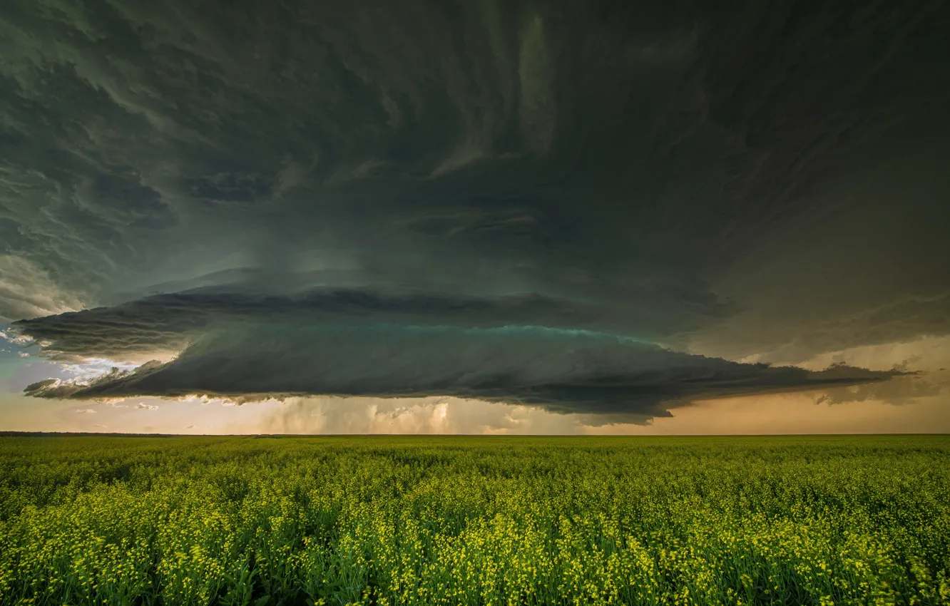 Photo wallpaper field, the sky, clouds, element, storm, meadow, hurricane