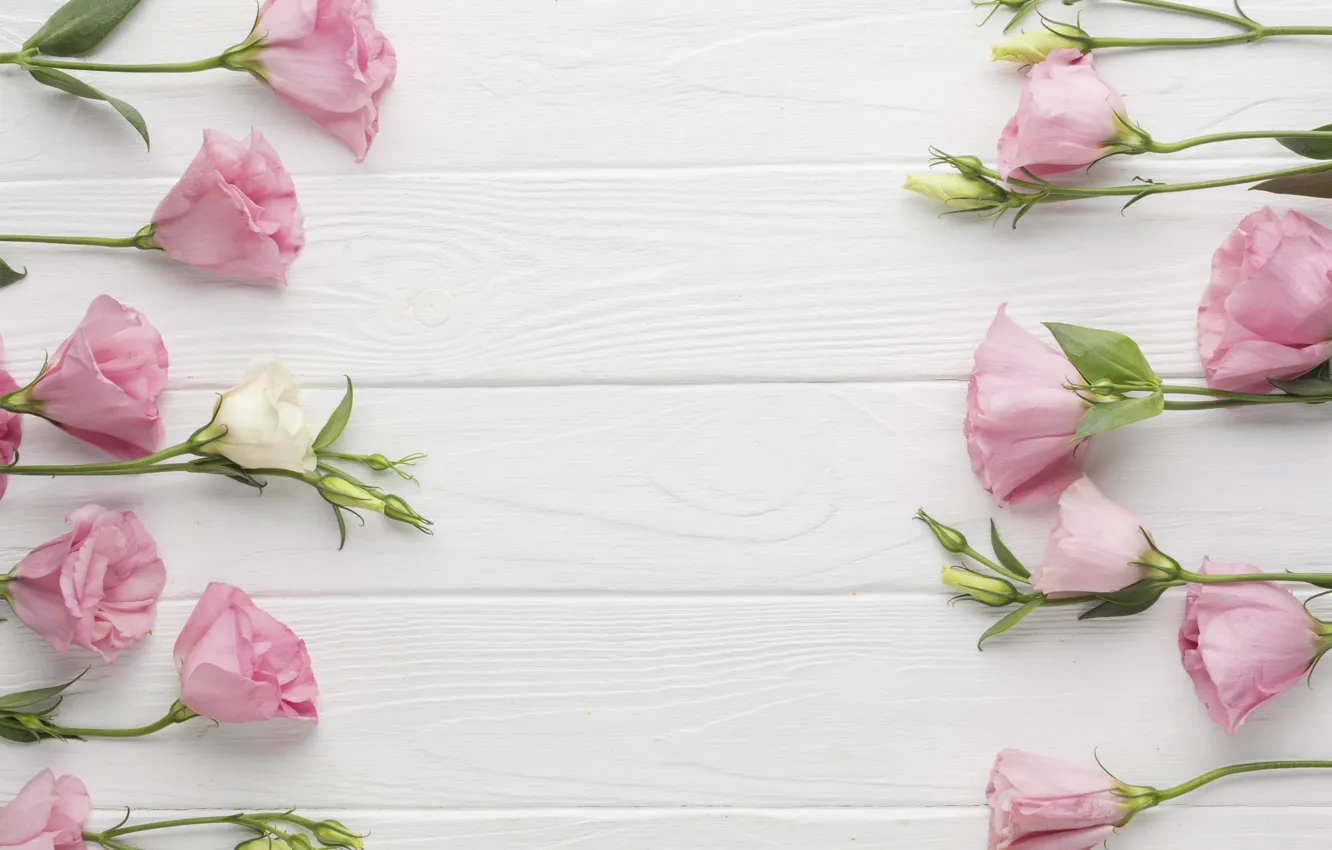 Photo wallpaper white, background, pink, beautiful, wood, composition, eustoma