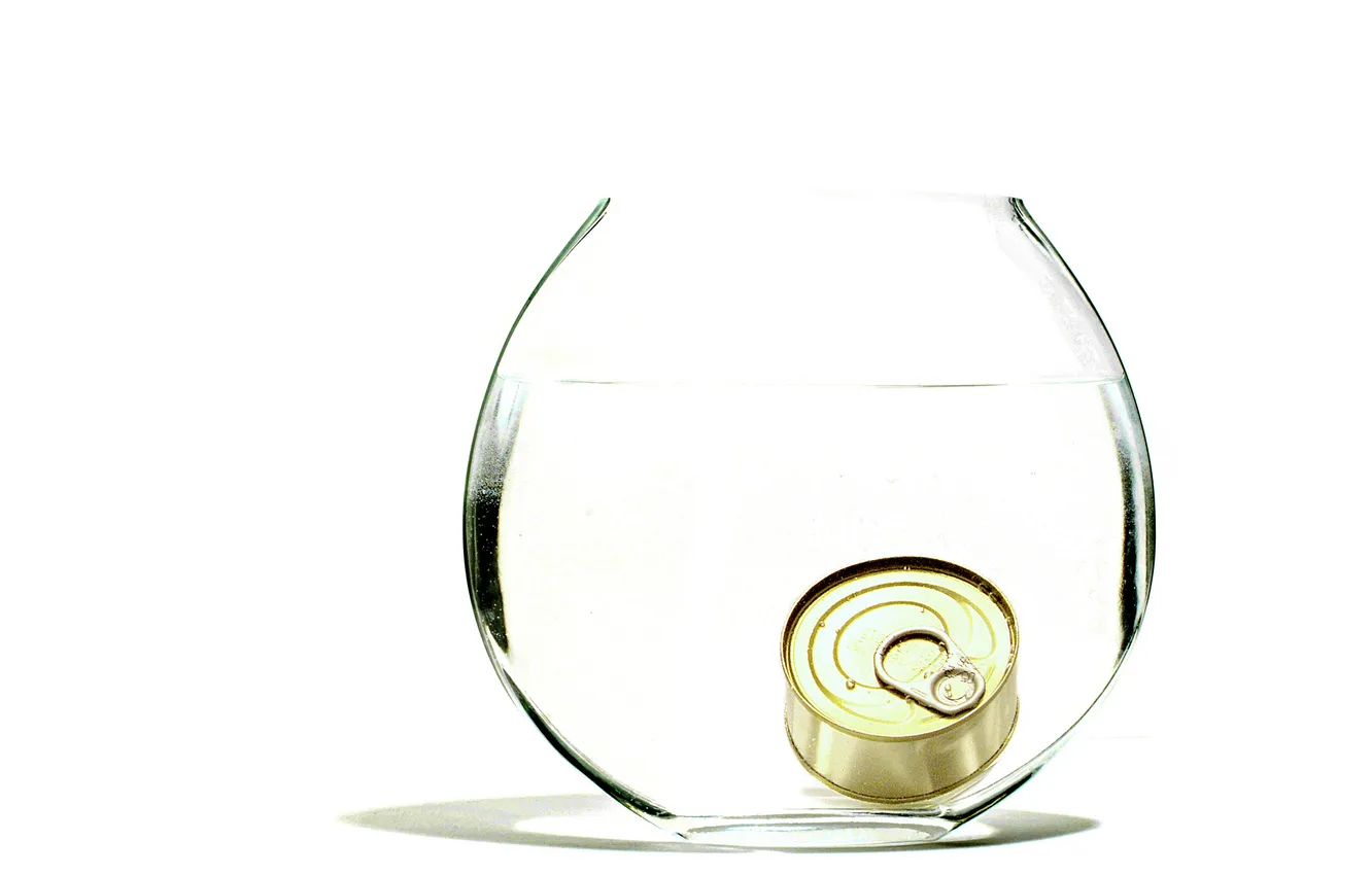 Photo wallpaper background, aquarium, canned