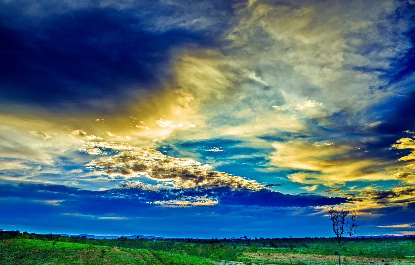 Photo wallpaper field, the sky, grass, clouds, glow