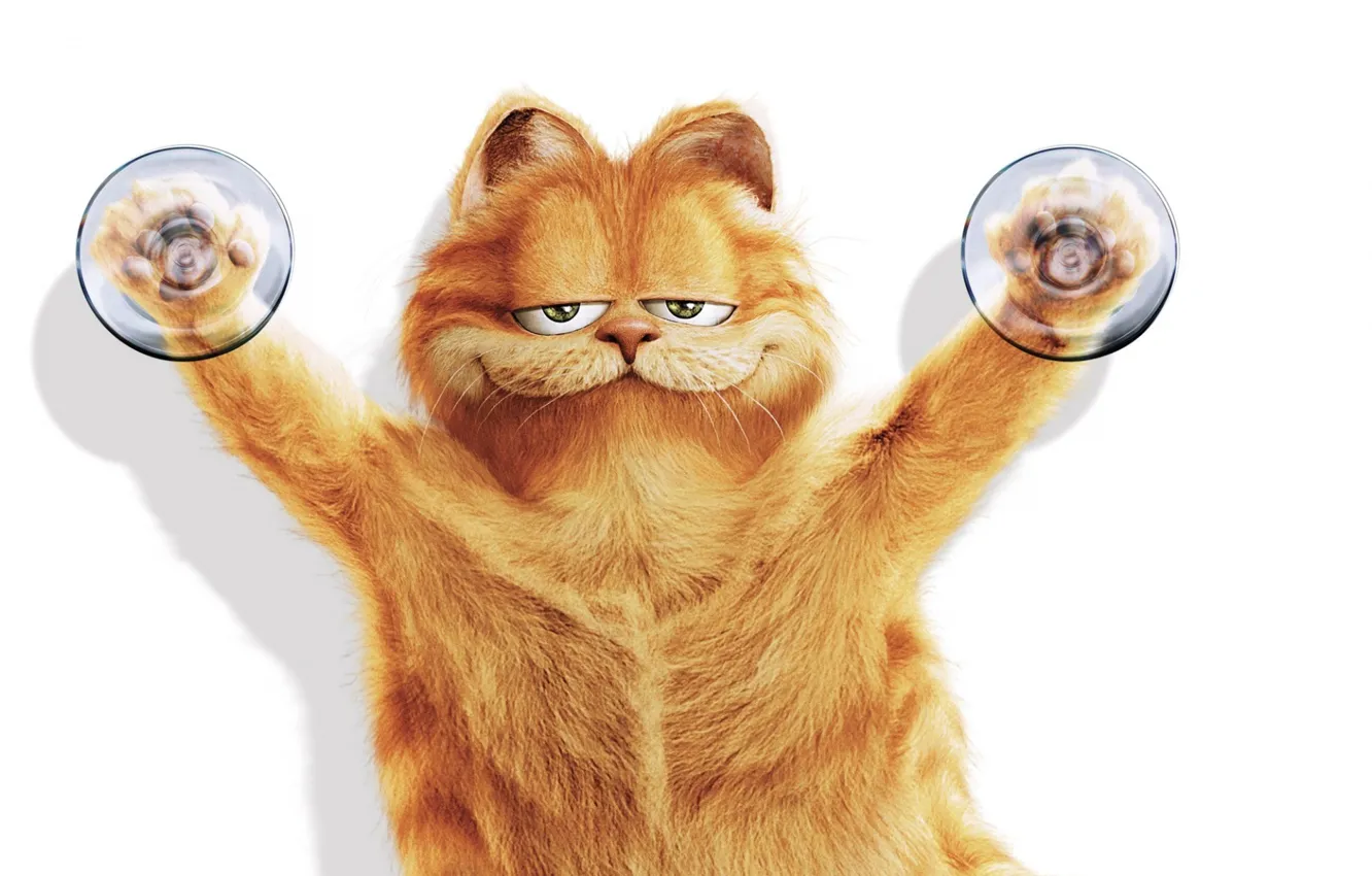 Photo wallpaper cat, sucker, Garfield, belay background