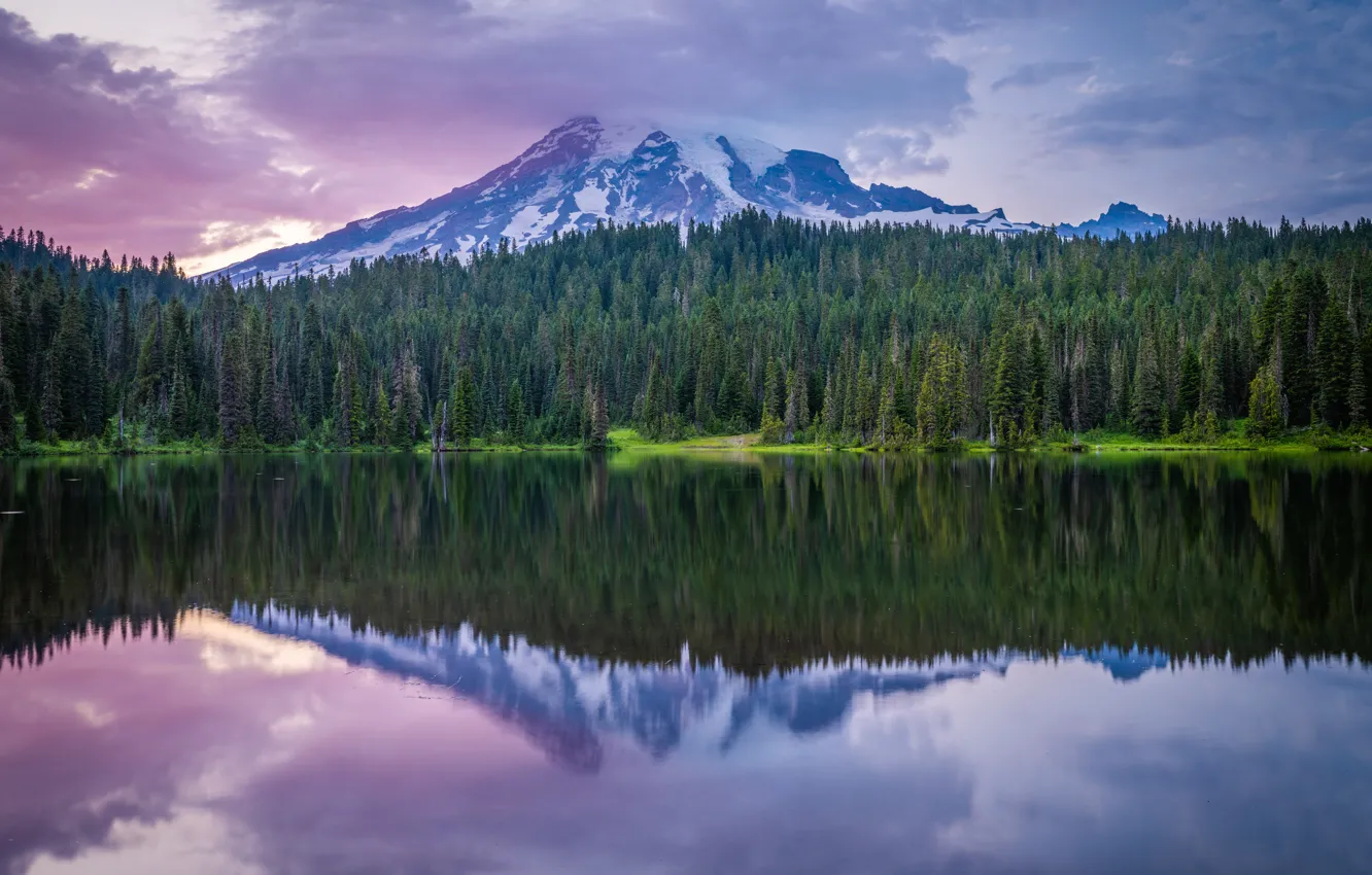 Photo wallpaper forest, mountains, reflection, pond