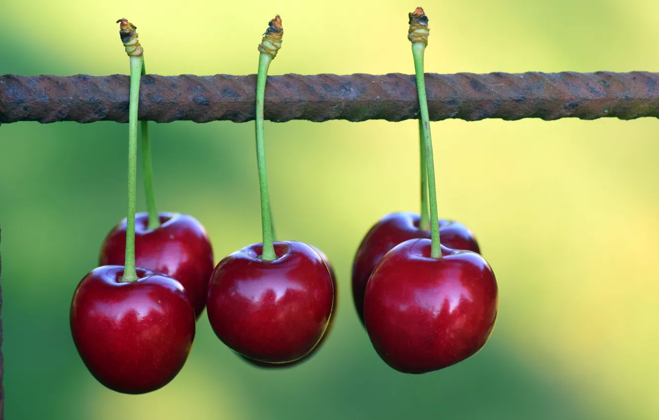 Photo wallpaper metal, cherry, berries, cherry, iron, green background, cherry, hanging