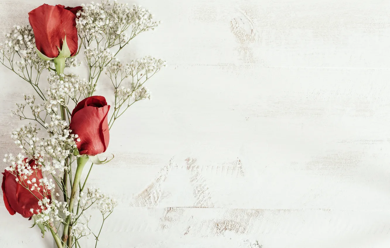 Photo wallpaper sprig, background, buds, red roses