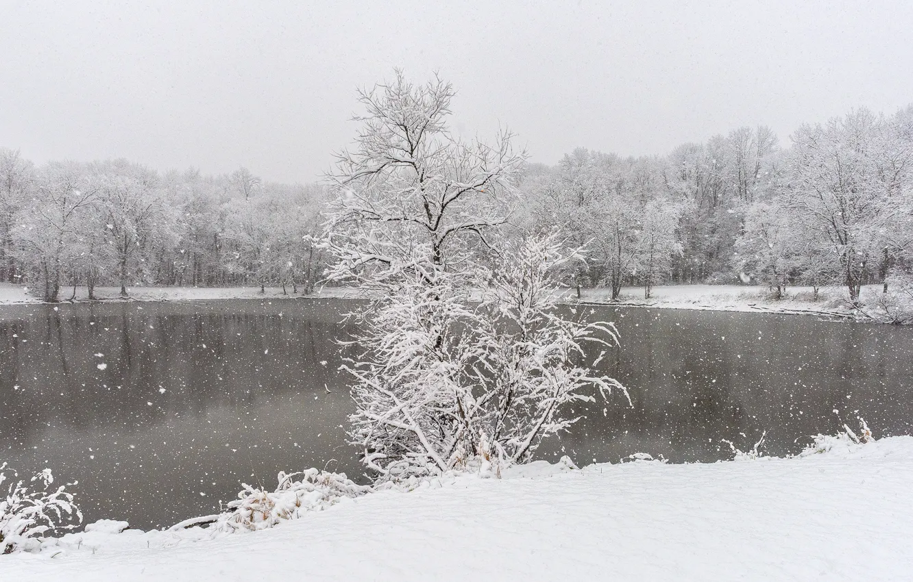 Photo wallpaper winter, lake, snow, woodland, snowing