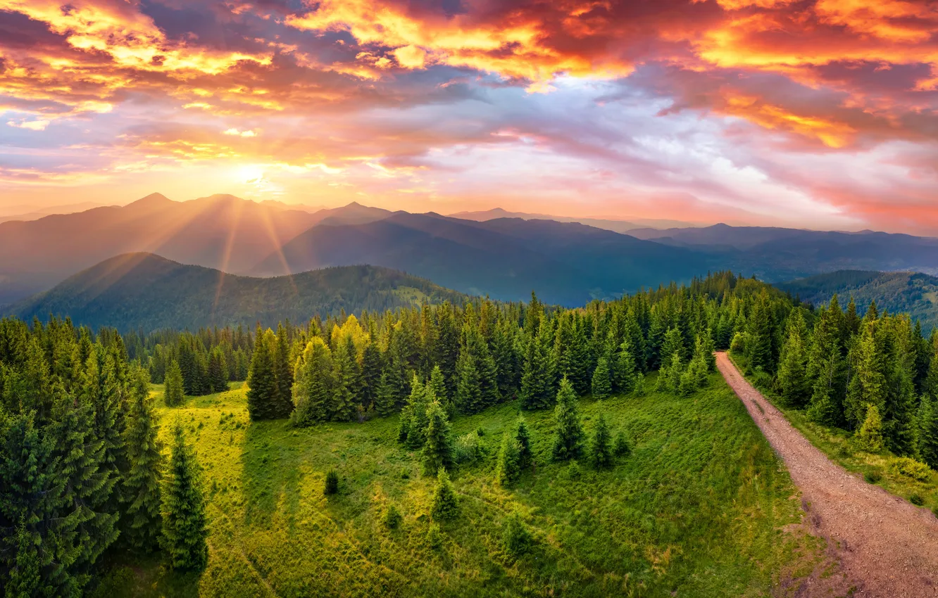Photo wallpaper the sun, the sky, mountains, forest, road, trees, clouds