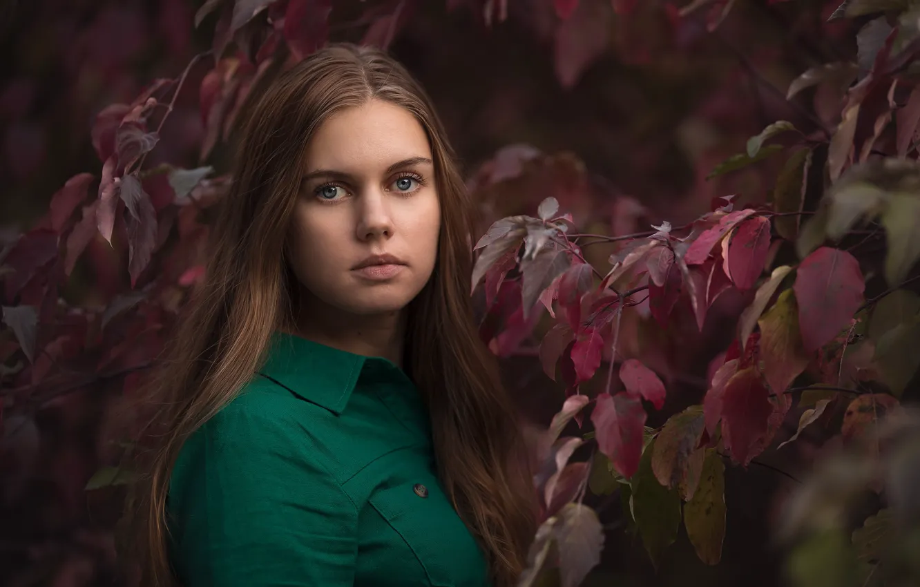 Photo wallpaper autumn, look, girl, nature, face, sweetheart, foliage, portrait