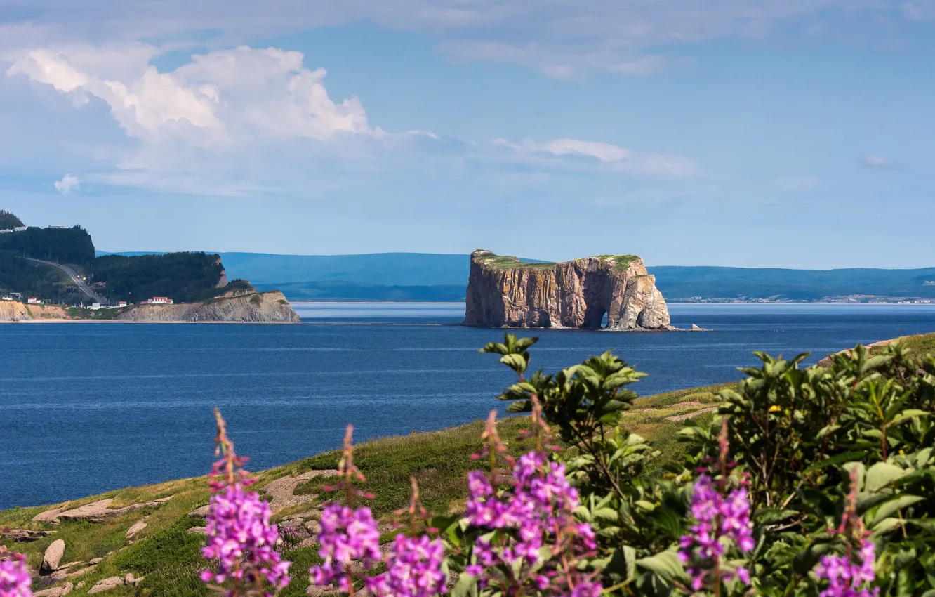 Photo wallpaper sea, flowers, rock, Canada, National Park, Ile-Bonaventure-et-du-Rocher-percé