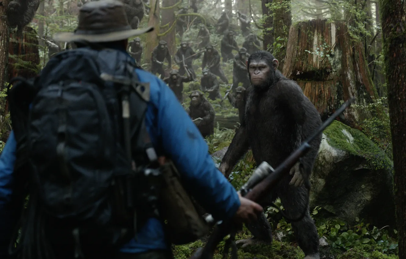 Photo wallpaper horse, monkey, Planet of the apes: the Revolution, Dawn of the Planet of the Apes