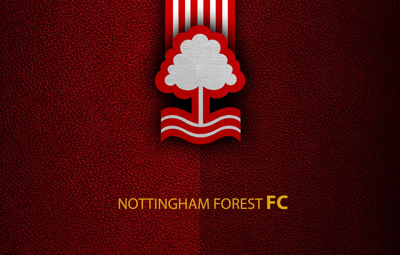 Photo wallpaper wallpaper, sport, logo, football, English Premier League, Nottingham Forest