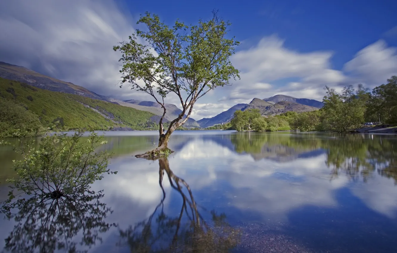 Photo wallpaper trees, mountains, lake, England, national Park, Snowdonia, North Wales