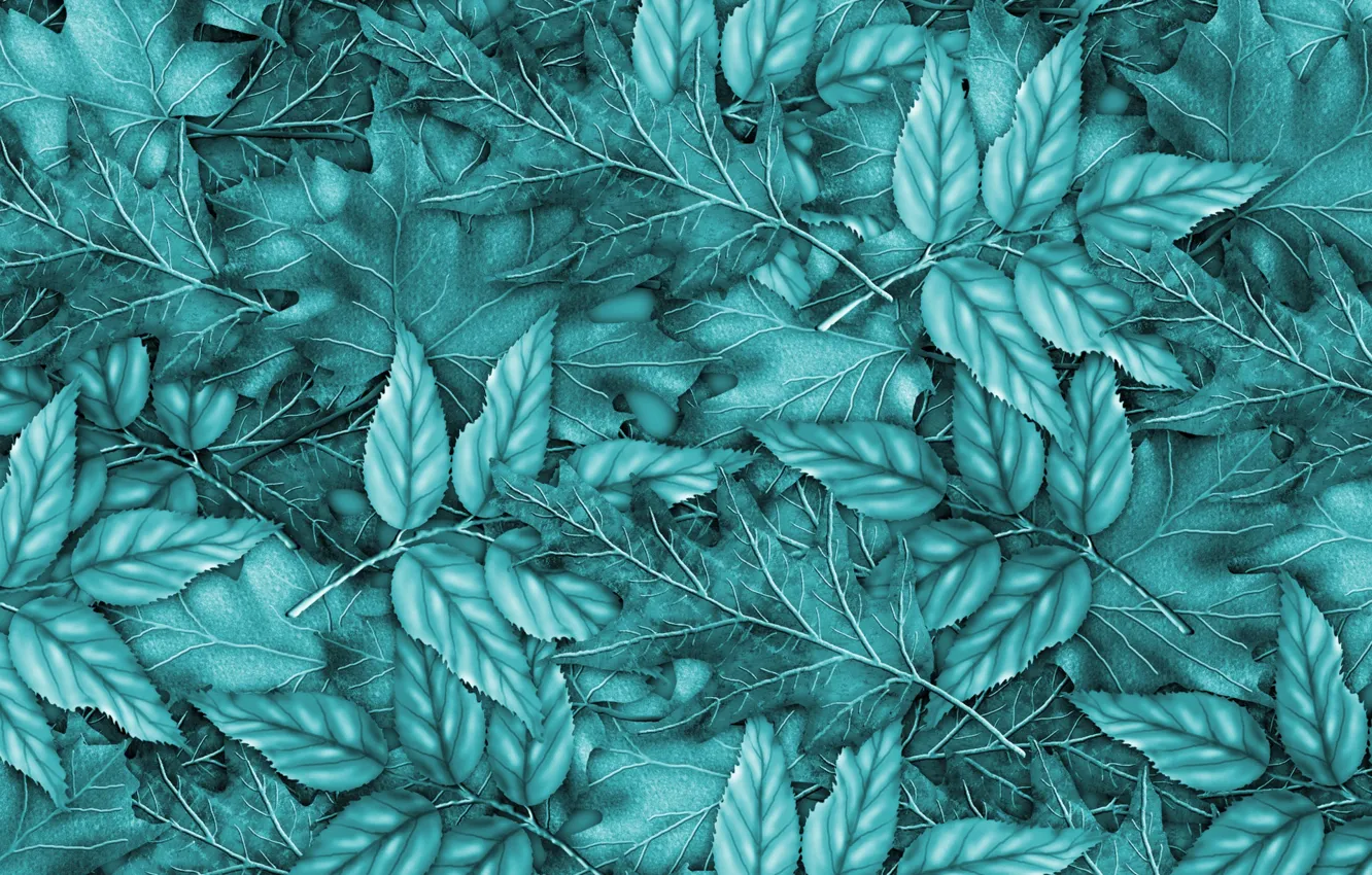 Photo wallpaper leaves, background, blue, background