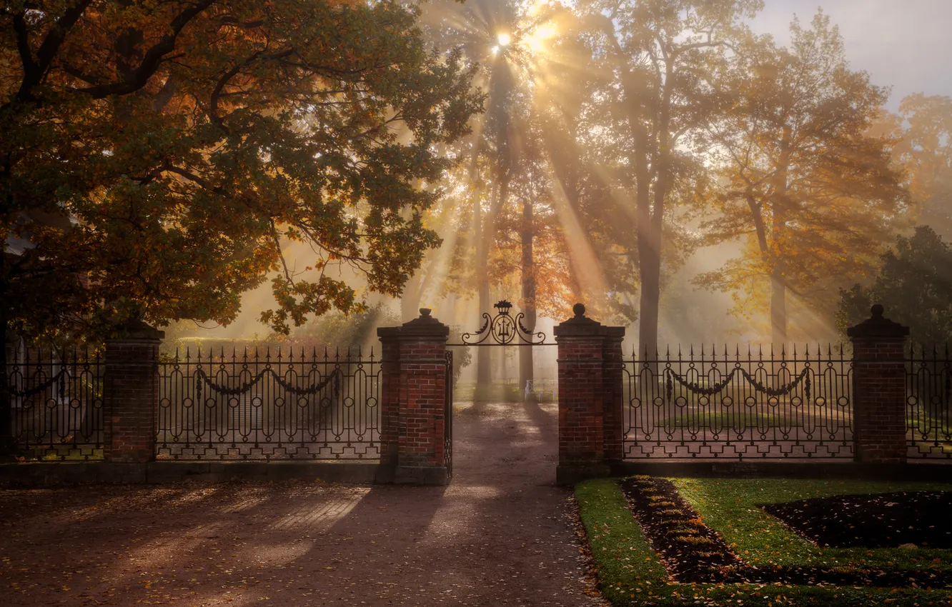 Photo wallpaper autumn, rays, light, trees, Park, Gordeev Edward, Saint Petersburg