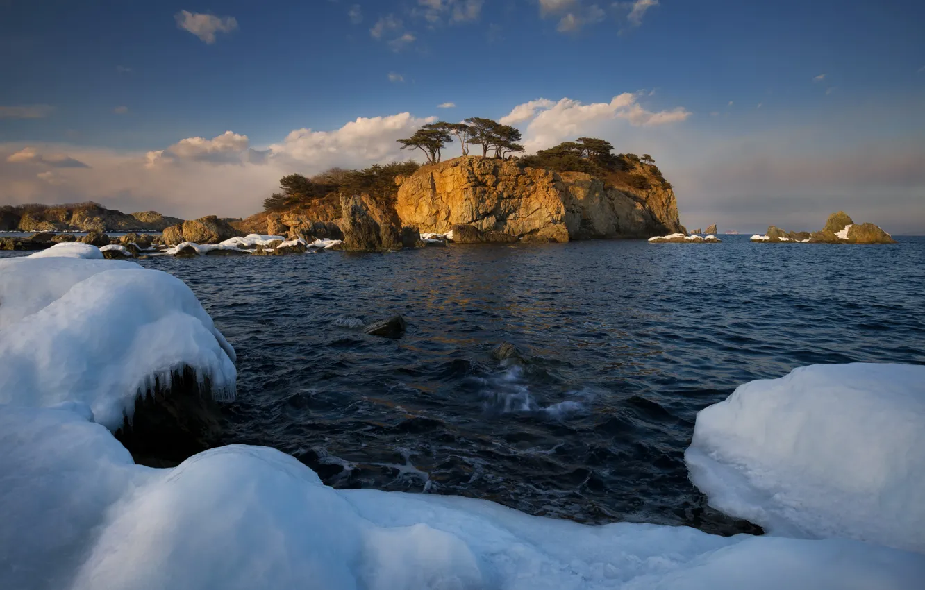 Photo wallpaper sea, snow, trees, landscape, nature, rocks