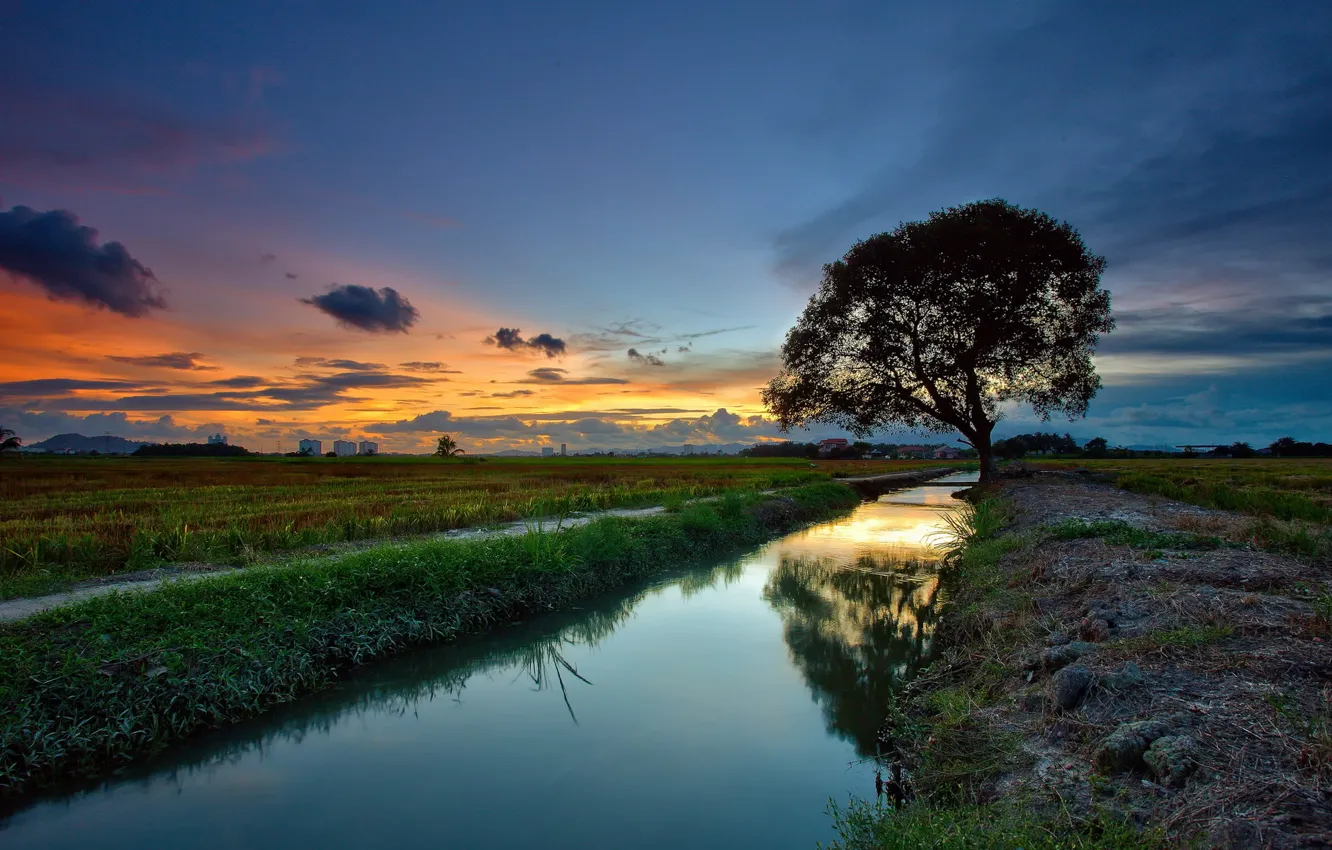 Photo wallpaper landscape, sunset, river, tree