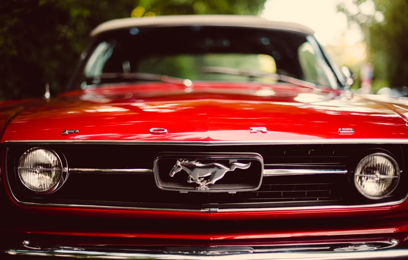Photo wallpaper red, Mustang, Mustang, red, ford, Ford, the front, classic