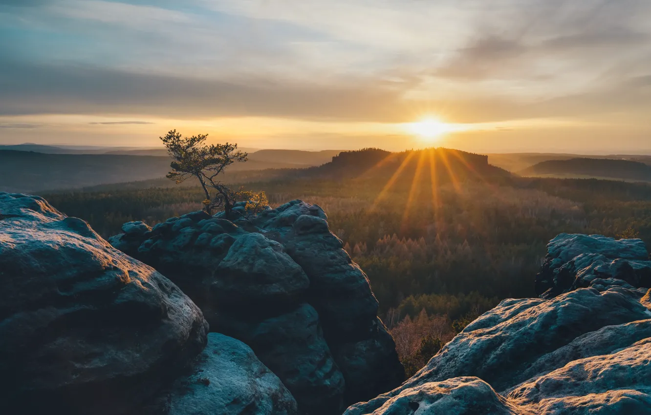 Photo wallpaper forest, the sun, clouds, rays, sunset, mountains, fog, rocks