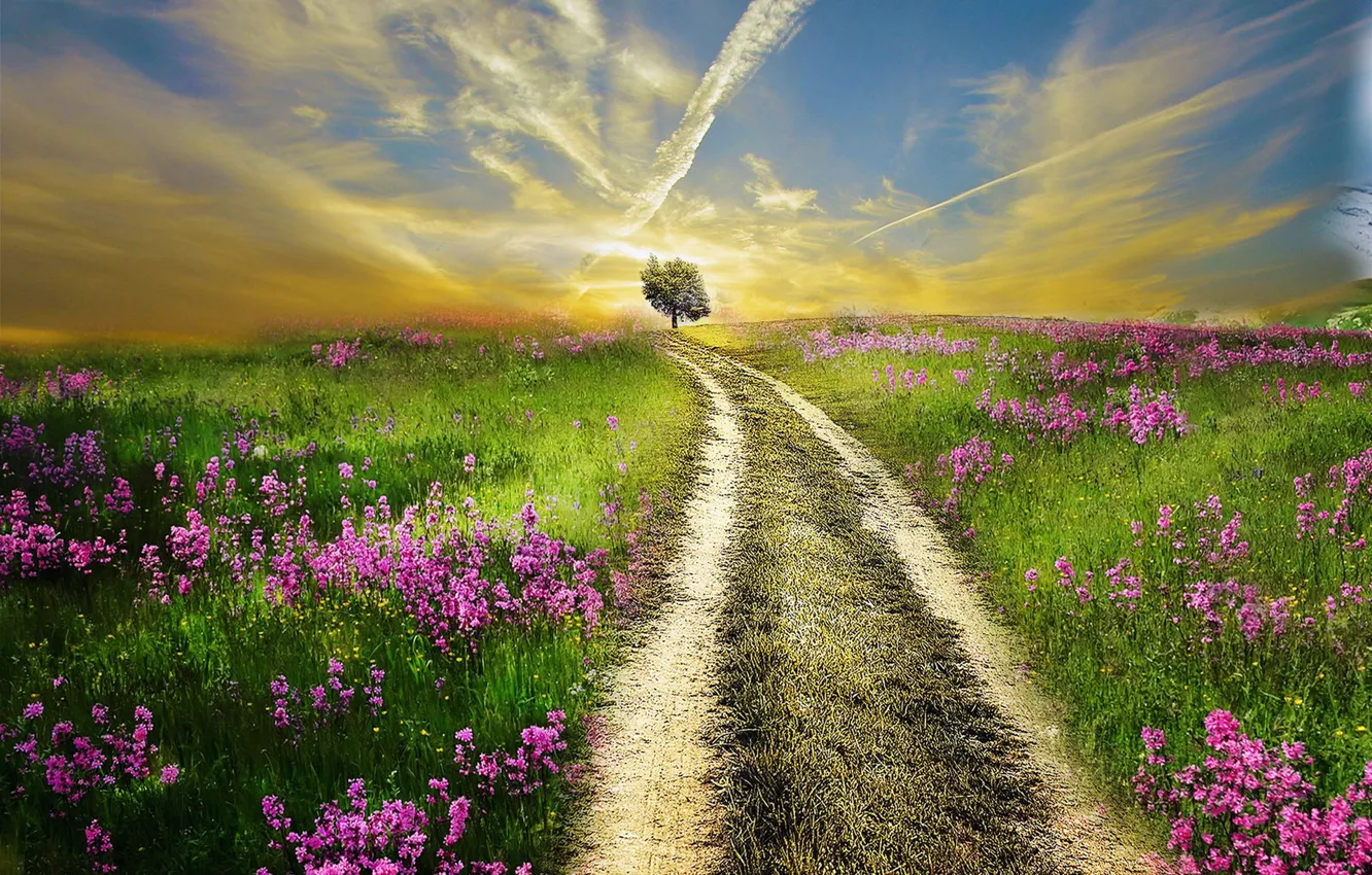 Photo wallpaper road, field, summer, morning