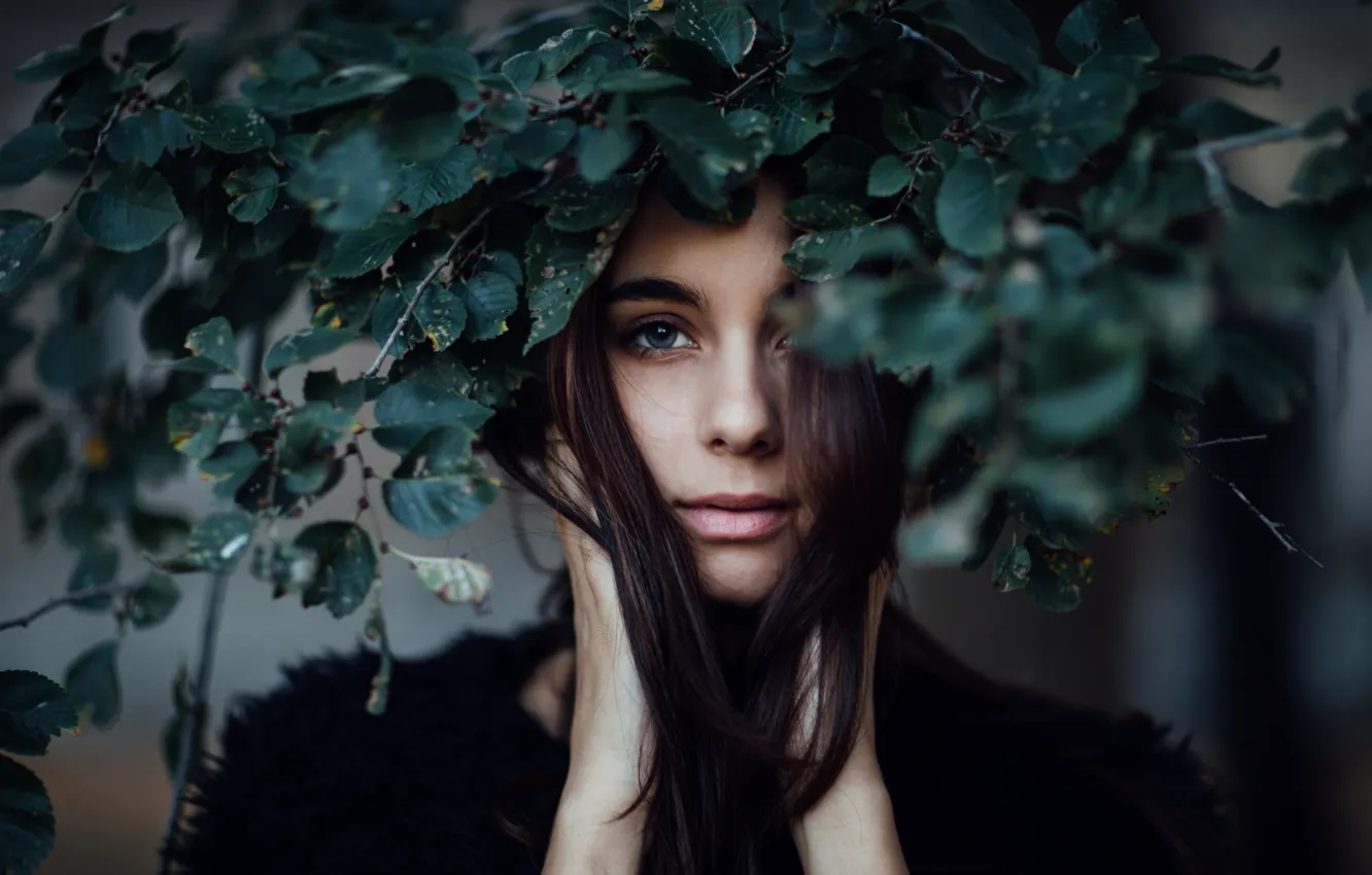 Photo wallpaper leaves, Ashley, the beauty, wreath, Jesse Duke