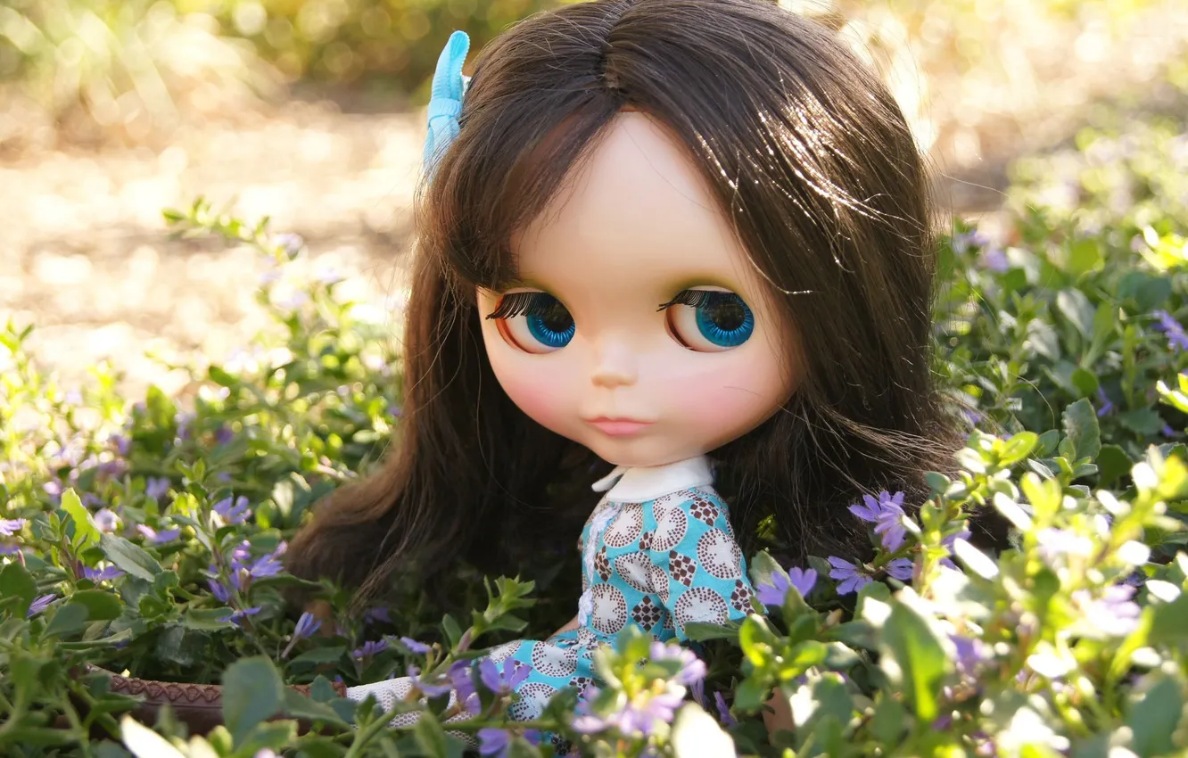 Photo wallpaper grass, toy, doll, brunette, sitting