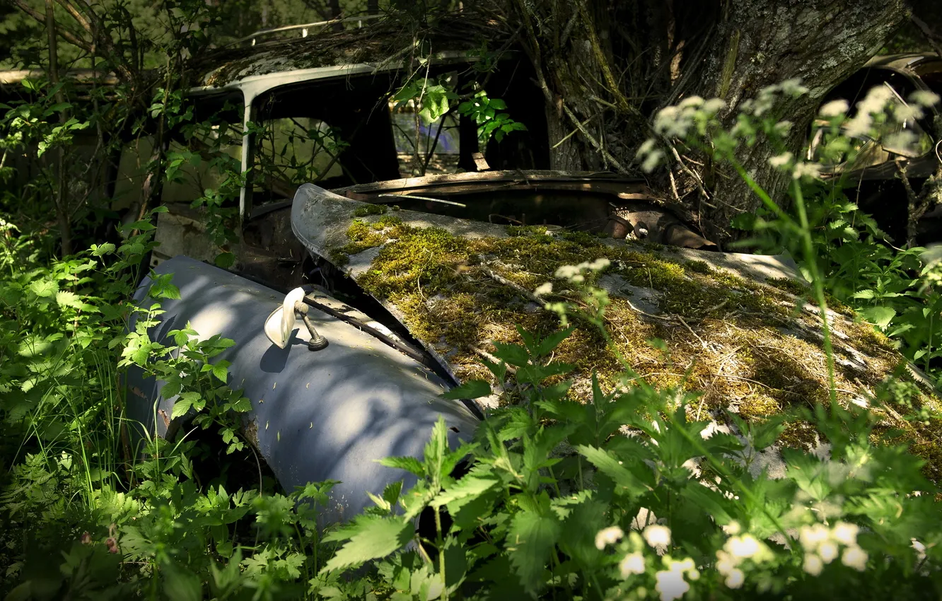 Photo wallpaper machine, background, scrap, another brand