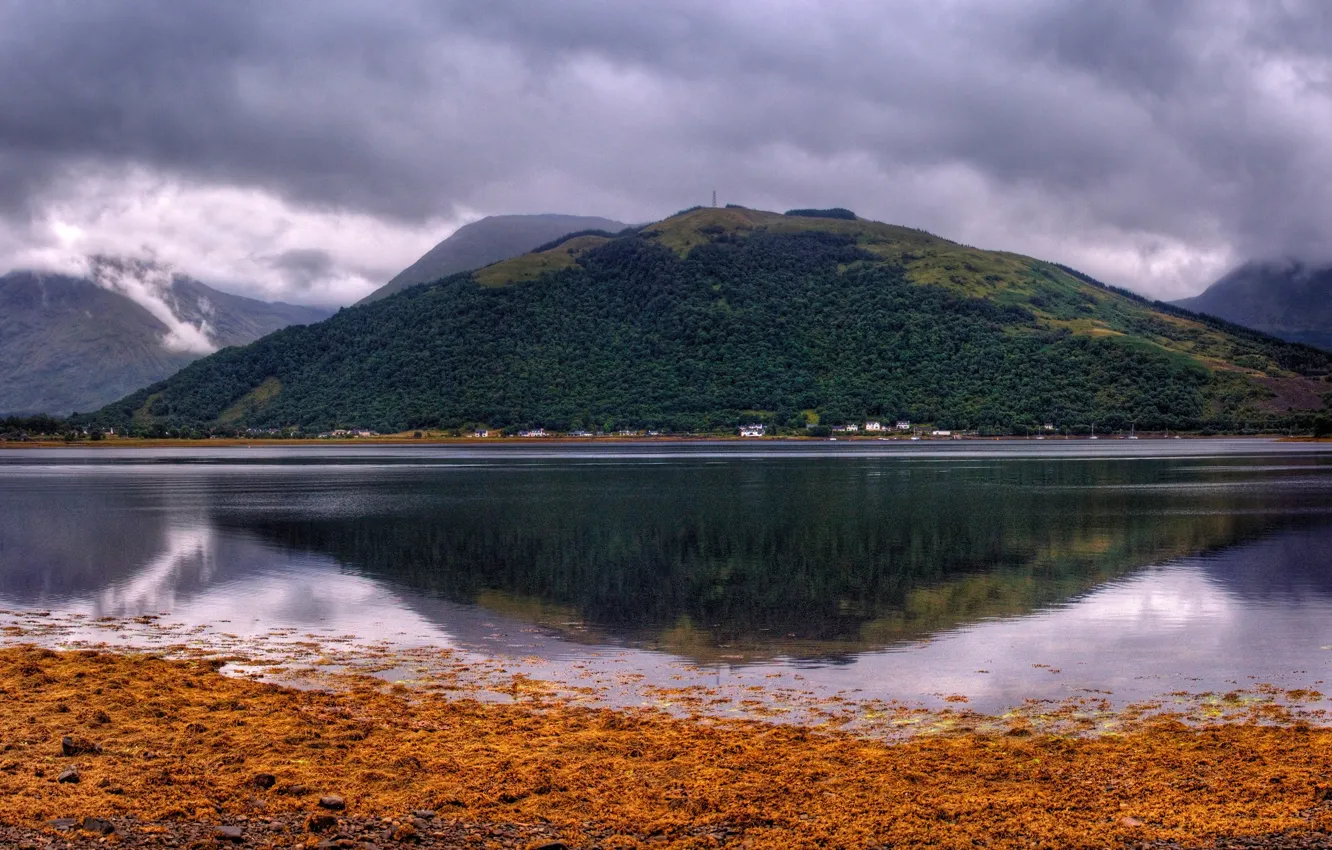Photo wallpaper forest, clouds, trees, mountains, lake, stones, shore, Scotland