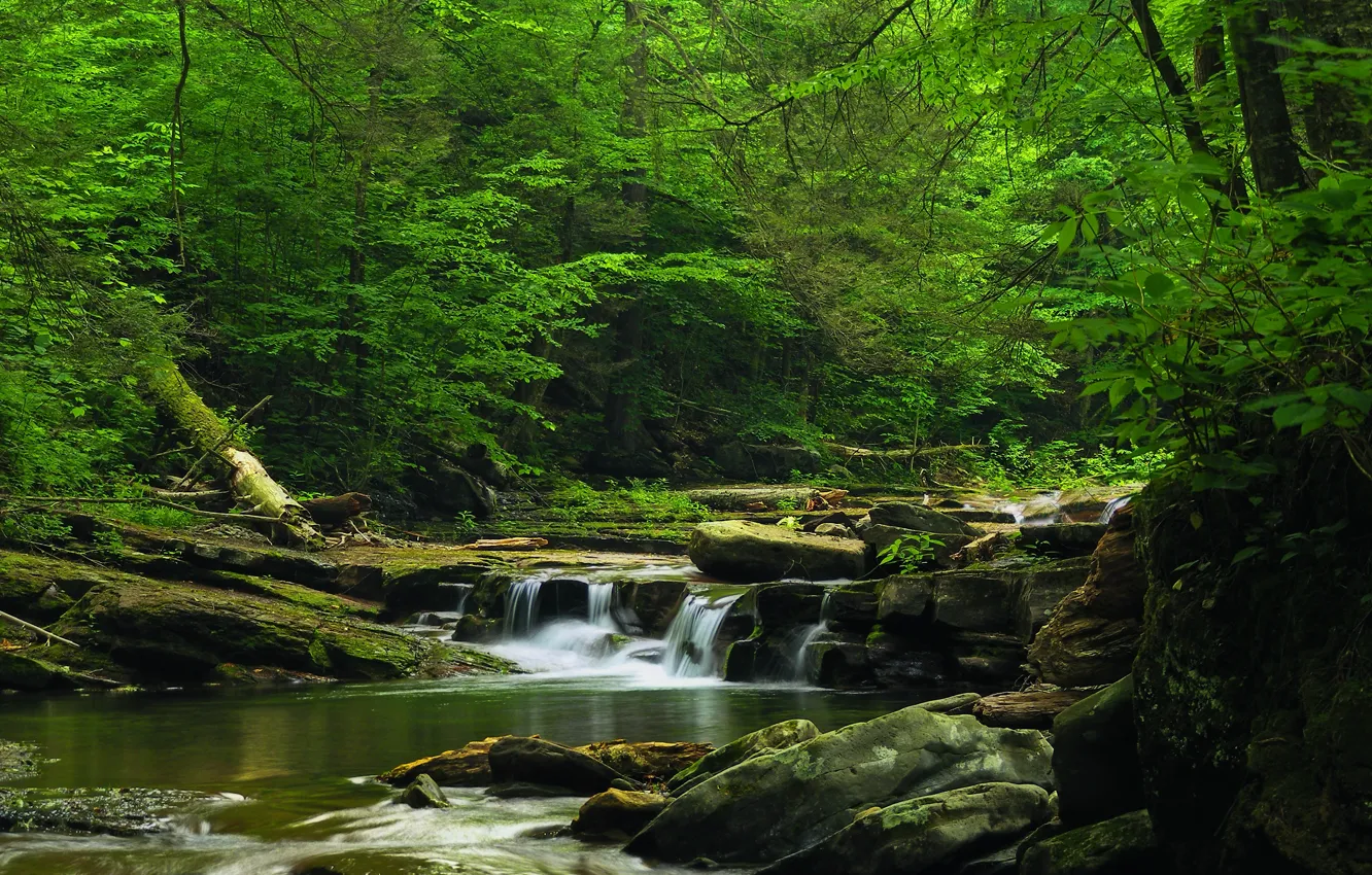 Photo wallpaper Nature, Waterfall, Trees, River, Forest, Stones