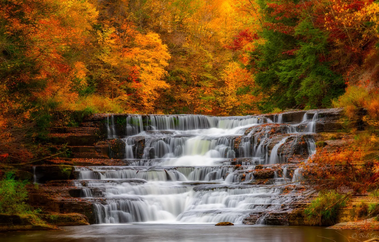 Photo wallpaper autumn, forest, waterfall, cascade, The State Of New York