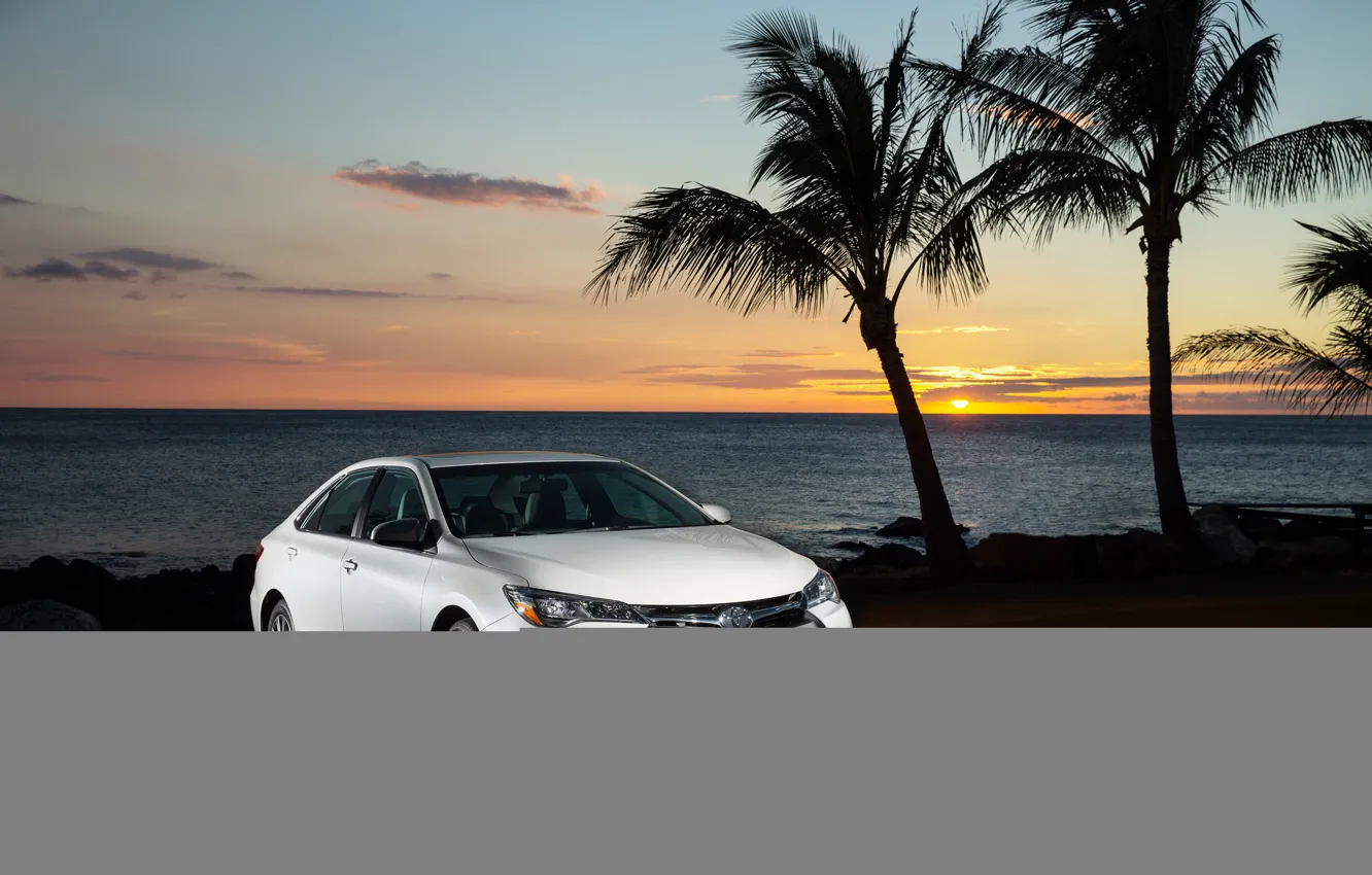 Photo wallpaper Toyota, camry, tropical, xle